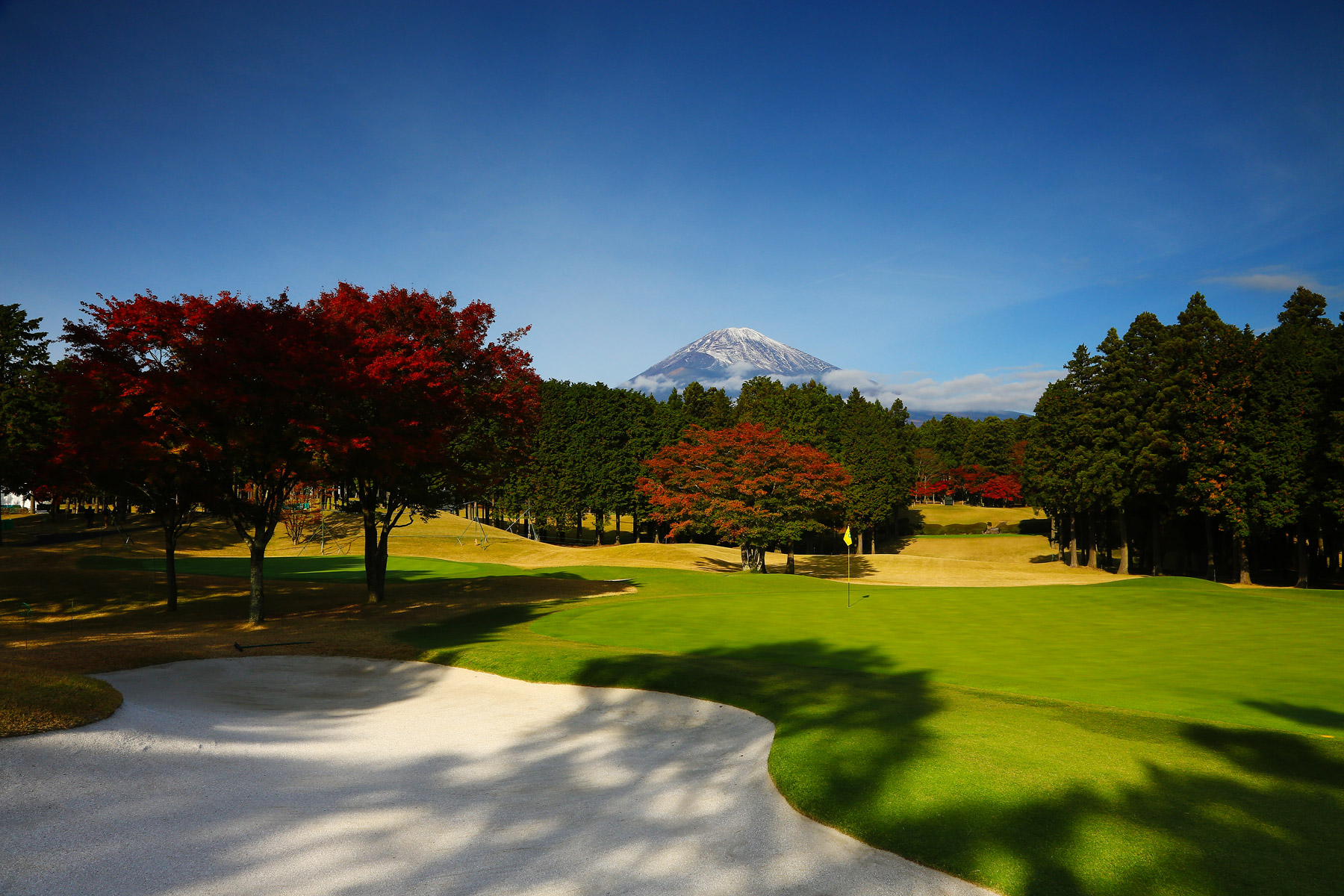 Japan Golf Tour 2024